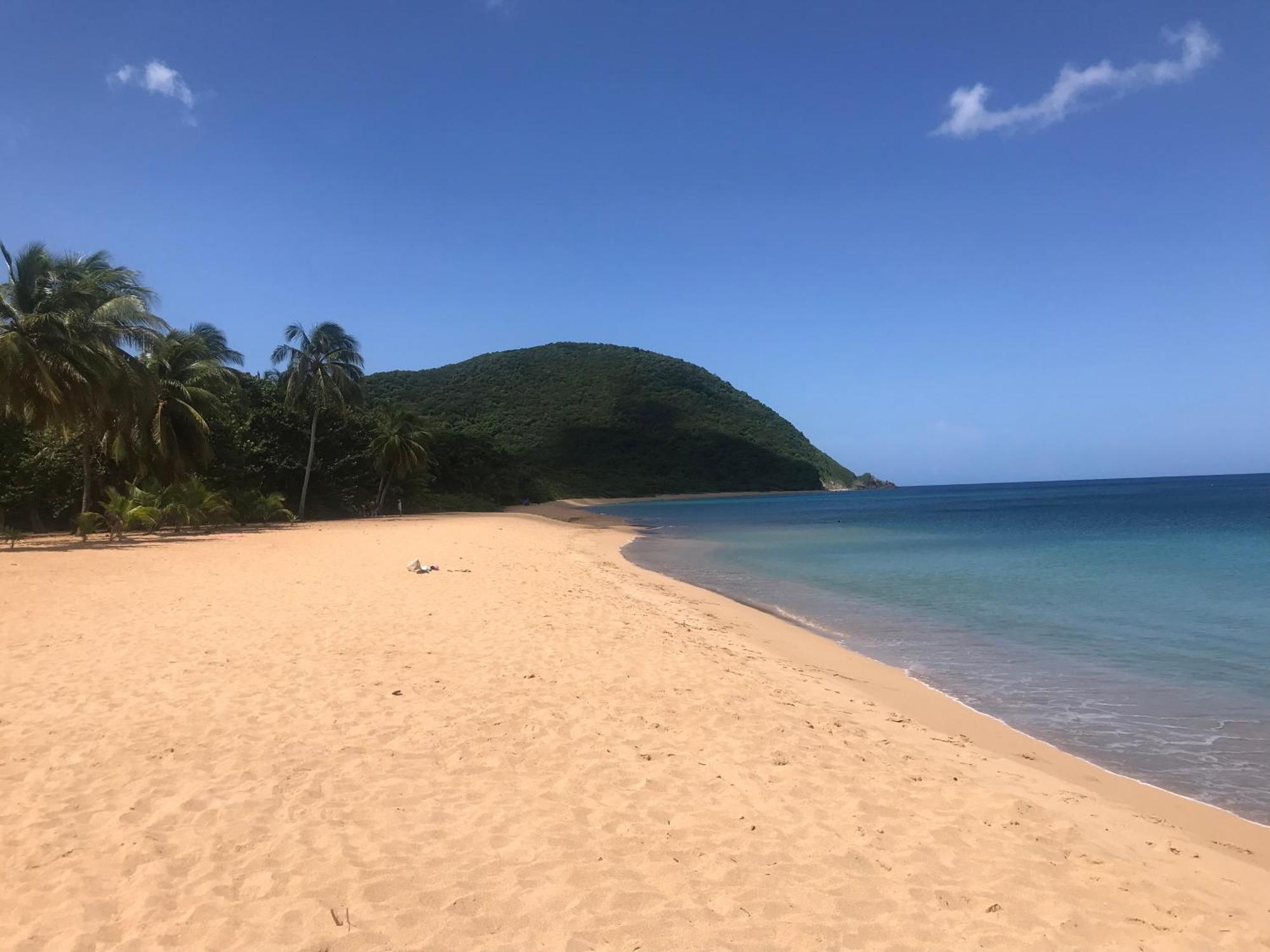 Villa Coco Caraibes Deshaies Exterior foto