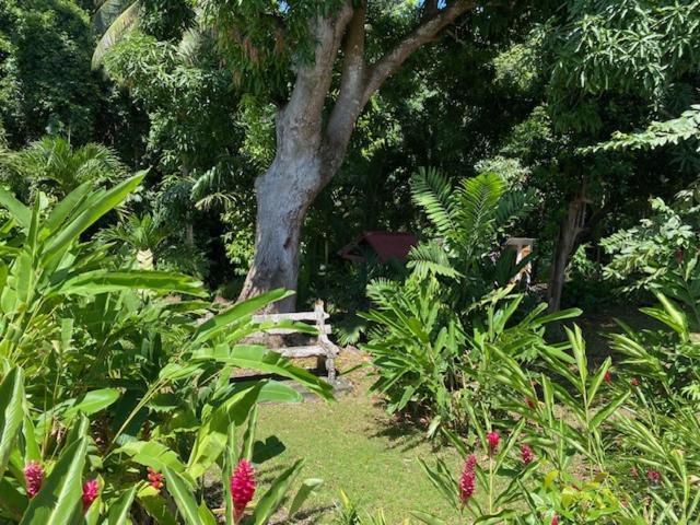 Villa Coco Caraibes Deshaies Exterior foto