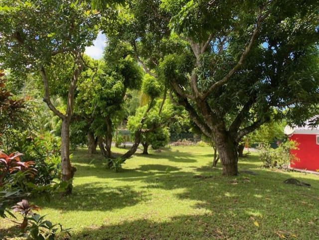 Villa Coco Caraibes Deshaies Exterior foto